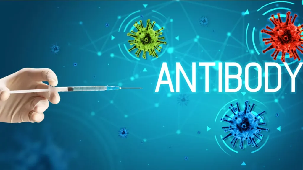 Antibodi