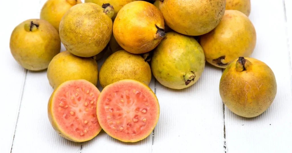 Guava in Folklore
