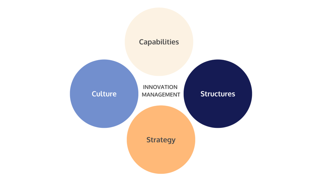 Innovation Strategies