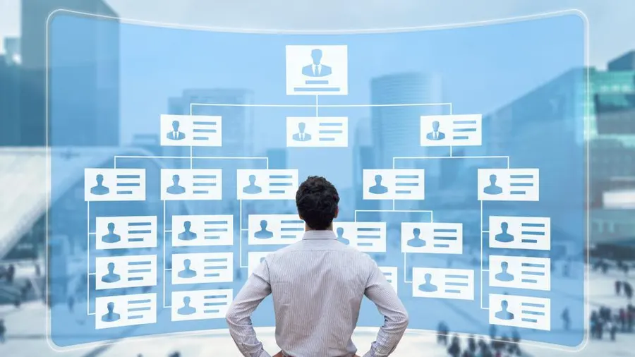 Organizational Structure